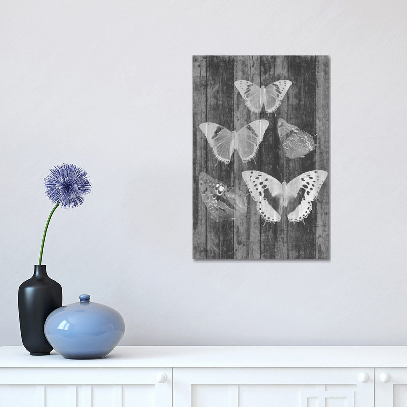 Rustic Butterfly Chart II by Jennifer Goldberger - Wrapped Canvas Print, 30.48 cm H x 45.72 cm W