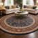 Oriental Indoor Rug