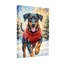 Animaux, chien, chandail rouge, scène de Noël-1893161345