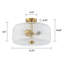 Glass Semi Flush Mount