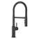 Catris Flexo Semi-Pro Pull-Down Dual-Spray Kitchen Faucet