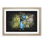 Dazzling Peacock Bird Paint Splash - Picture Frame Graphic Art-56915834-56915838