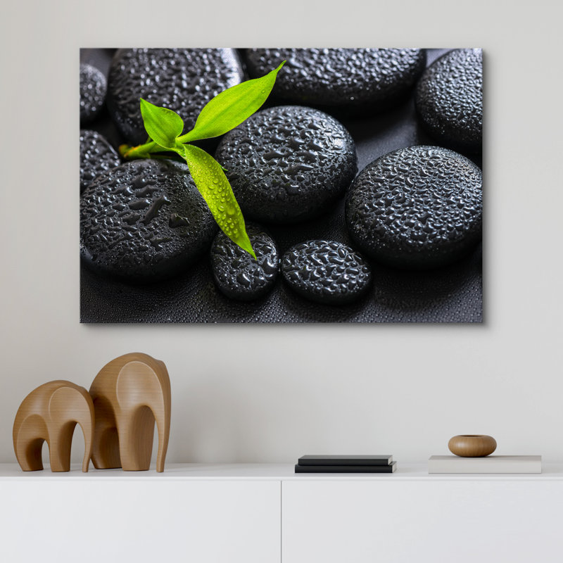 «Zen Stones Rain Drops over Black Rocks and a Little Green Plant», reproduction de photo sur toile tendue