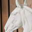 Hand Finishing Figurine / Sculpture Decorative Object-106694241