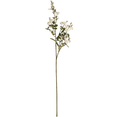 Arrangement
