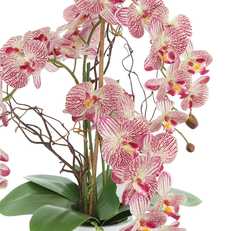 Modern Orchid Arrangement in Round Fiberstone Pot, Pink