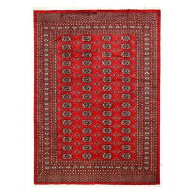 Oriental Area Rug