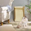 Chaise longue pour chat