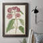 Toile encadrée de qualité supérieure Antique Botanical Collection-73981530