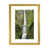 Gold Framed Paper is unavailable