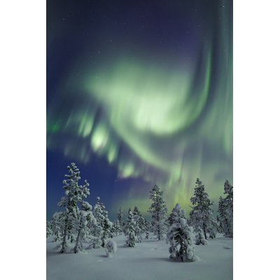 Aurora Dance by RainbowJoe - Wrapped Canvas Print