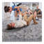Tapis sable / oriental Collection-885594515