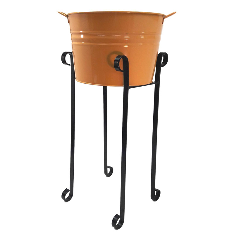 Bain de boisson garsteaode, Safran