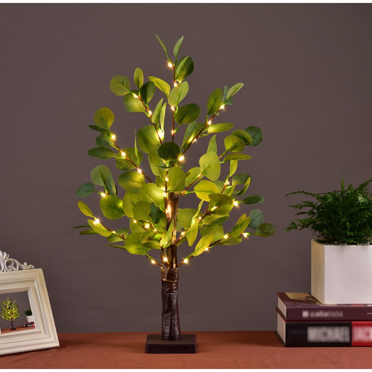 Eucalyptus Lighted Trees & Branches