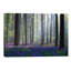 Adrian Popan - Wrapped Canvas Print-29382582
