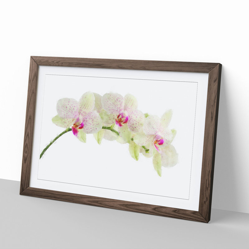 Orchid Flowers Vol.1 - Framed Print, 27cm H x 36cm W x 2cm D, Walnut Framed