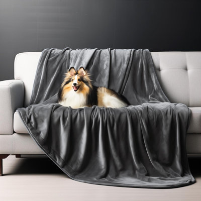 Pet Blanket