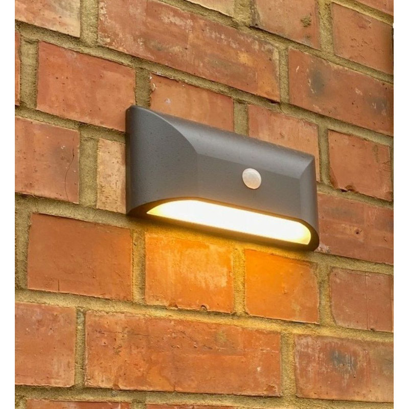 Graphite 113cm H Integrated LED Outdoor Sconce