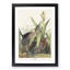 Green Heron by John Audubon - Framed Print-55609120-55609121