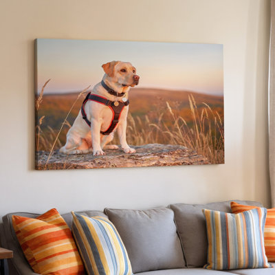 Reproduction d'art sur toile Labrador Retriever Nature Animal Home Decor pour salon, chambre à coucher, bureau, couloir, vestibule, galerie murale et décoration intérieure moderne