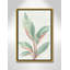 Gingembre II - reproduction d'art-55542019-55542013