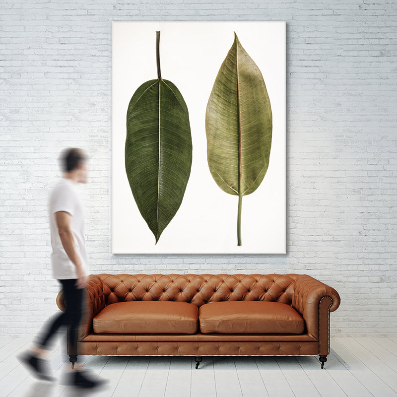 "Leaf Study 05" par Shot