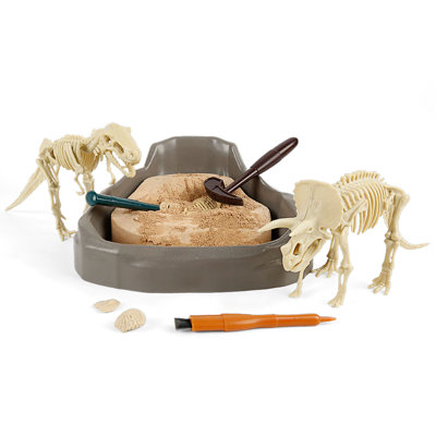 Trousse de fouille de fossile de dinosaure de science pour enfants de 6 ans et plus Cretaceous