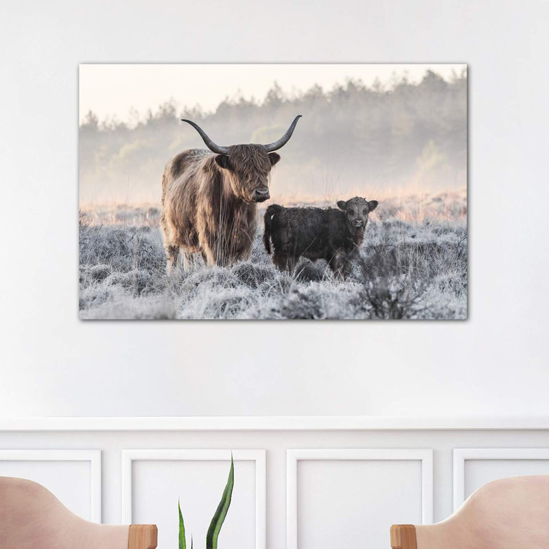 «Highlander and Calf», photographie, Toile tendue, H 8 po x l 12 po x P 0,75 po