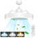Lafleur 23'' Ceiling Fan with LED Lights