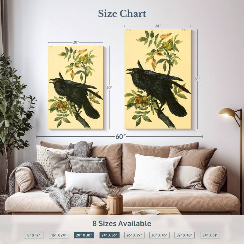 Grand corbeau des oiseaux d'Amérique, H 36 po x l 24 po