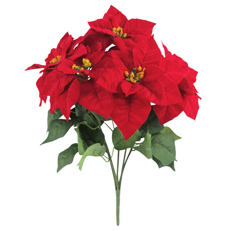 Buissons de poinsettias, H 20 po x l 13 po x P 13 po
