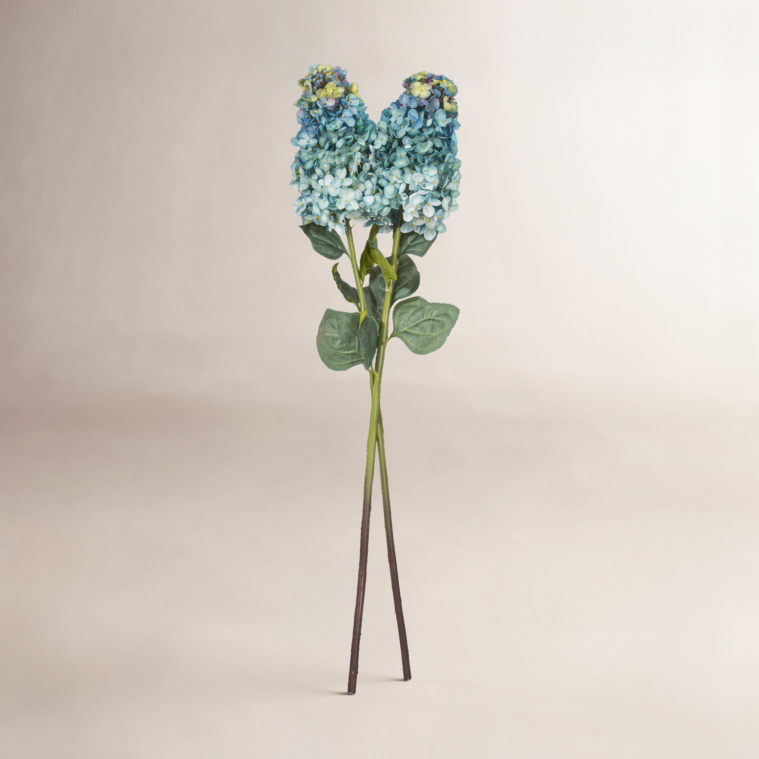Hydrangea Stem, Blue