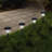 Low Voltage Solar Powered Integrated LED Pathway Light Pack