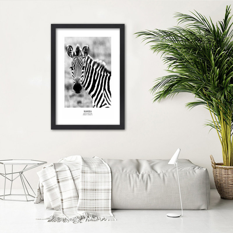 Zebra Animals Nature - Single Picture Frame Print, 30cm H x 20cm W, Black