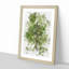 Leaf Lines - Framed Print-56741355-56741356