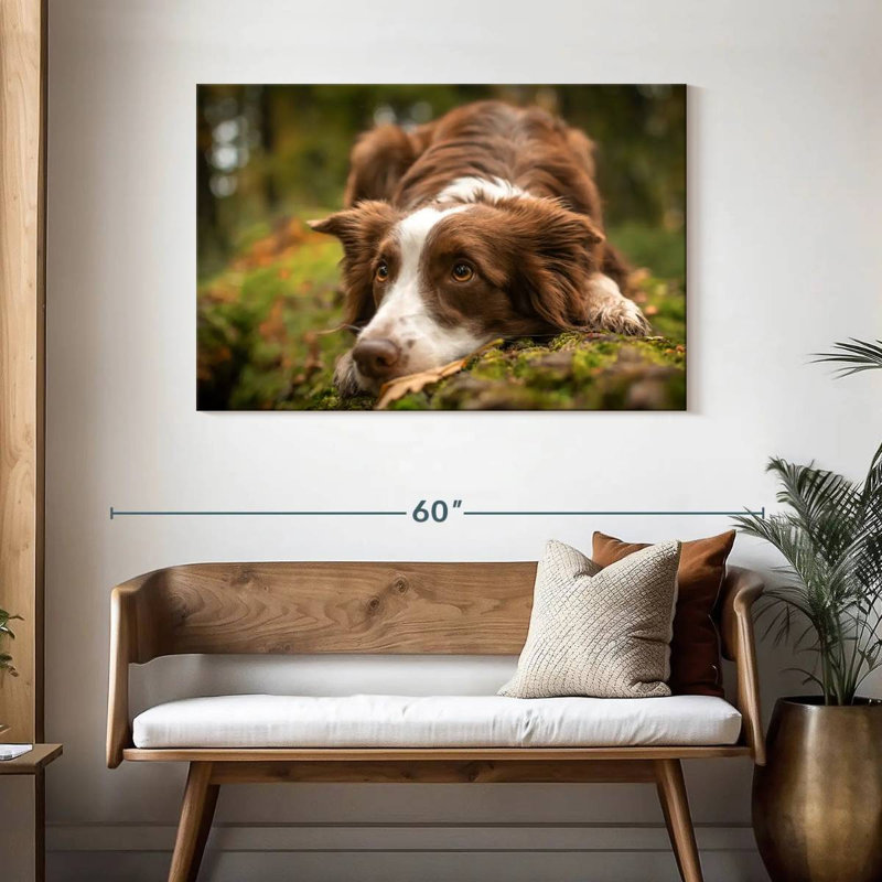 Brampt Lovable Border Collie, 30'' H x 45'' W