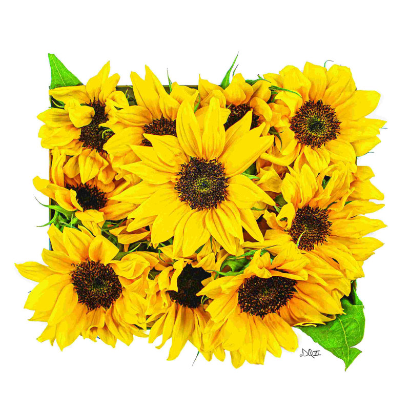 2886240 Bouquet de tournesols, H 36 po x l 36 po