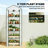 Outsunny 5 Tier Mini Greenhouse With Screen Roof, 27.6 Inch x 19.7 Inch x 75.6 Inch Portable Small Greenhouse With High‑Strength PE Cover, Roll‑Up Zipper Door For Garden, Yard And Backyard, White-137454429-137454423-137454427