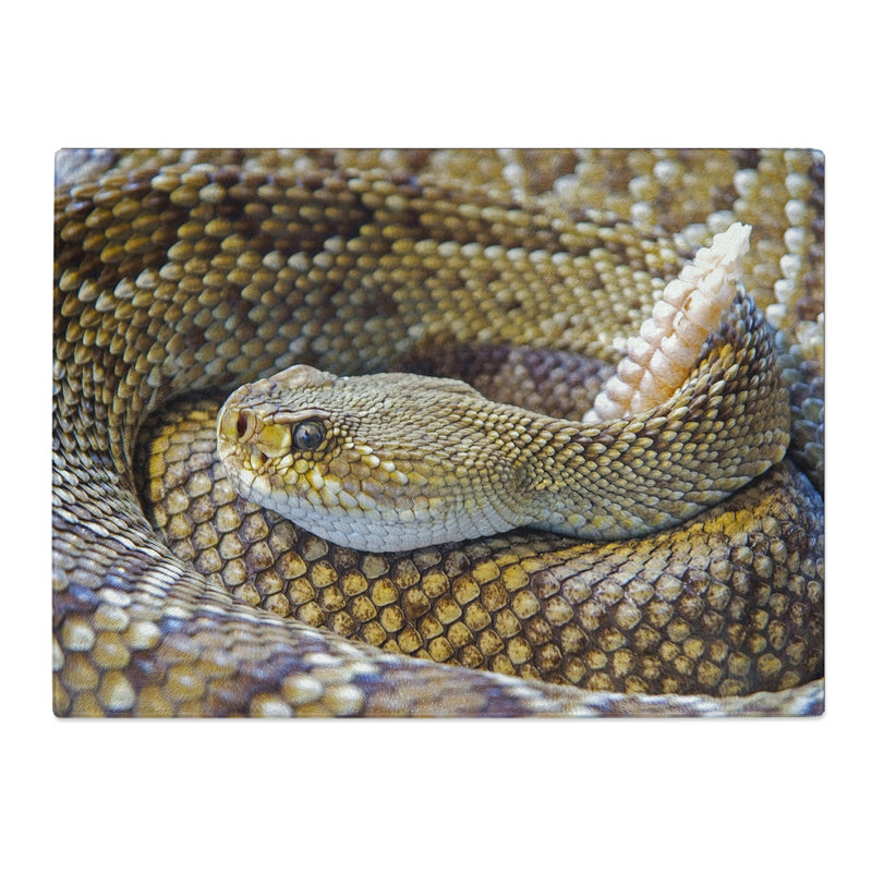 Rattle Snake  Glass Chopping Board