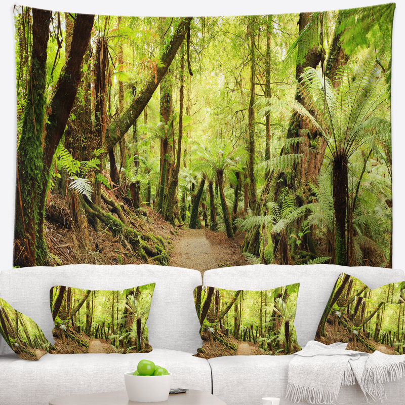 Photographie rainforest panorama paysage tapisserie, H 32 po x l 39 po