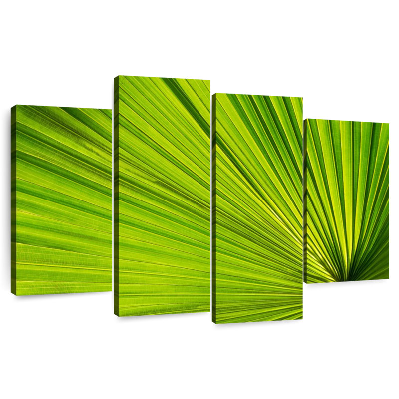 Harnek Fan Palm Leaf, 48" H x 75" W