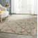 Paulson Area Rug