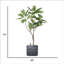 Arbre à pain artificiel 73 po en pot-97938364