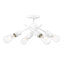 Rhynwood directionnel et projecteur-95376510