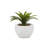 9.75'' Faux Agave Plant in Ceramic Vase