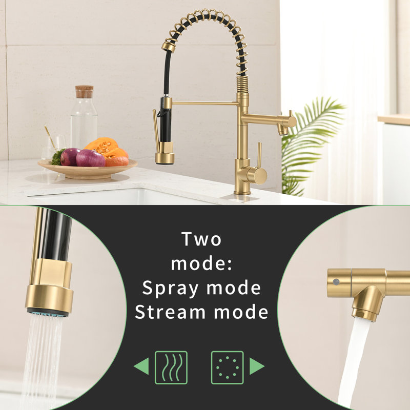 Spirited Gold Kitchen Faucet With Pull Down - 360 Swiveling Outlet, Ceramic Filler, Contemporary Elegance Placating Sink Dual Feature, Modern Predominance