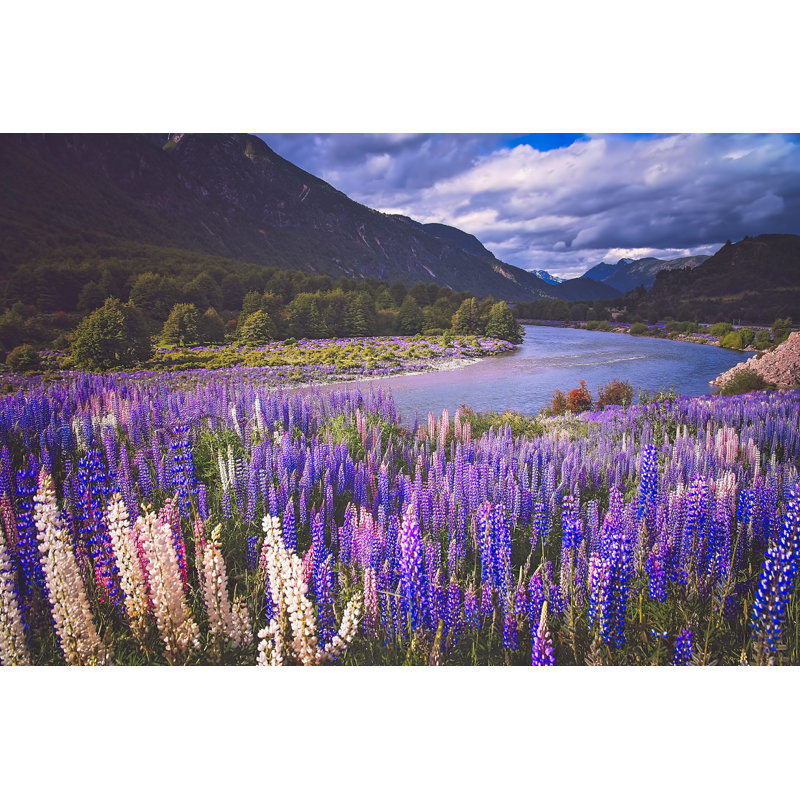 Kint chilean Patagonia Landscape - Photographie sur toile tendue, H 20 po x l 30 po