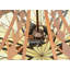 Sonoma 3 - Light Pendant-918710683
