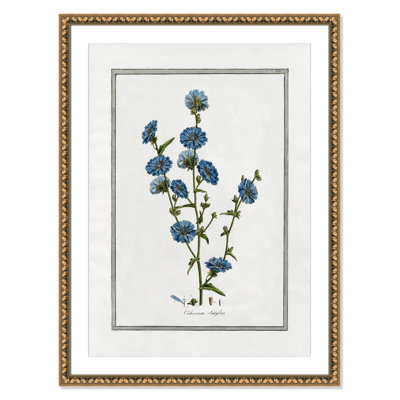 Colombe "Soft Botanical I" Print