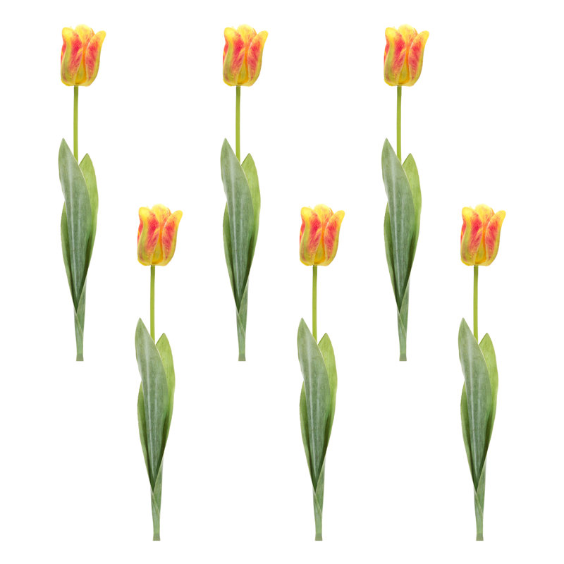 Tulipe florale (ensemble de 6)